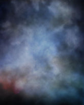 Lofaris Old Master Peacock Theme Photo Backdrop For Portrait